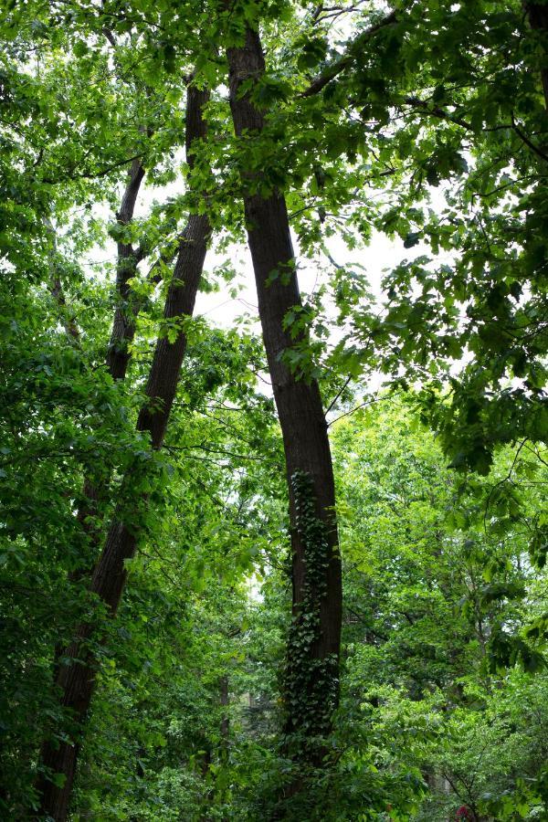 Buitenplaats Petersburg Arnhem Zewnętrze zdjęcie