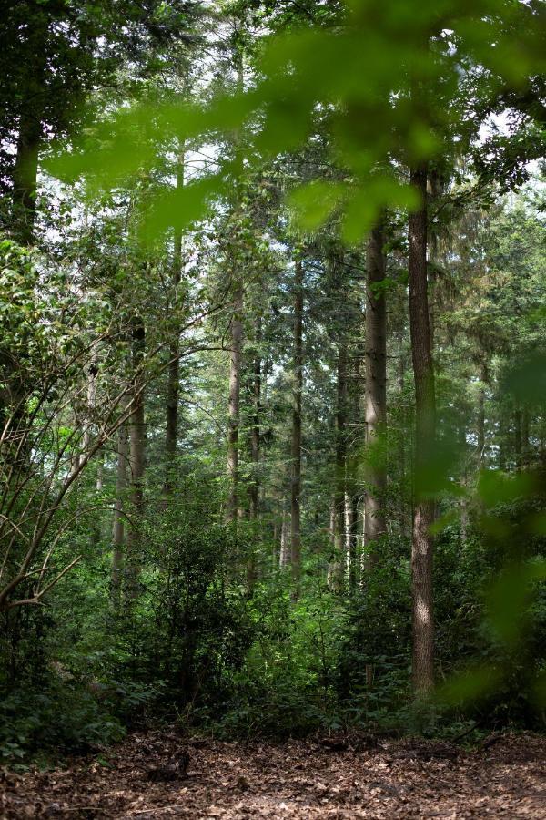 Buitenplaats Petersburg Arnhem Zewnętrze zdjęcie
